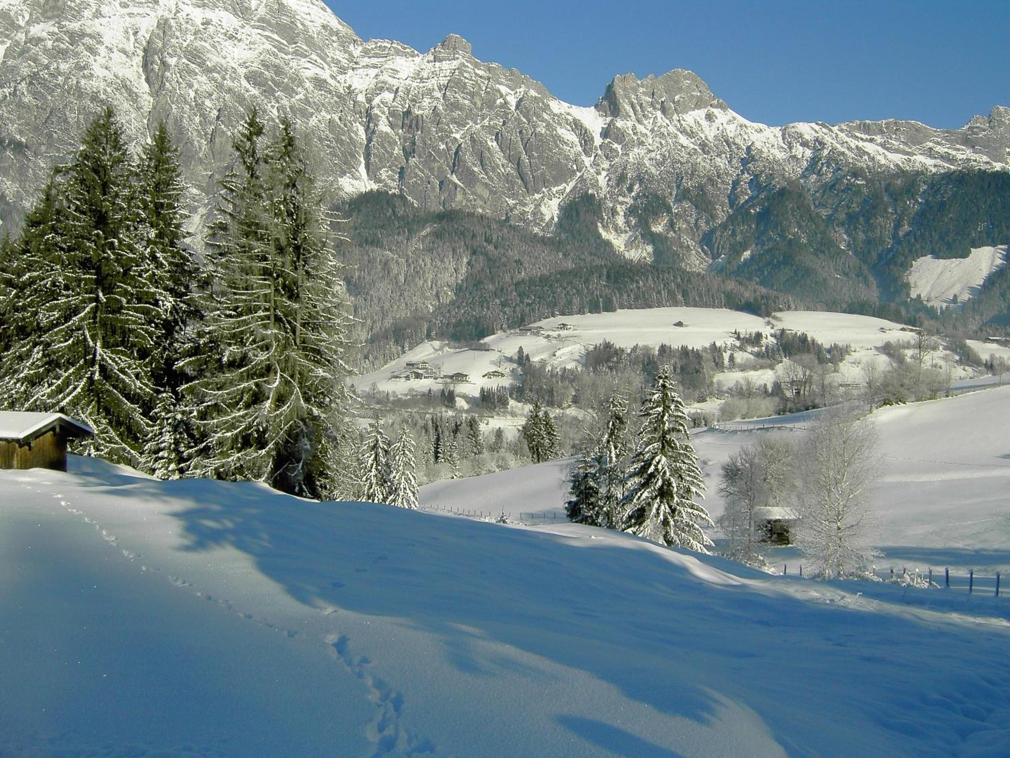 Appartementhaus Salzmann Leogang Eksteriør billede